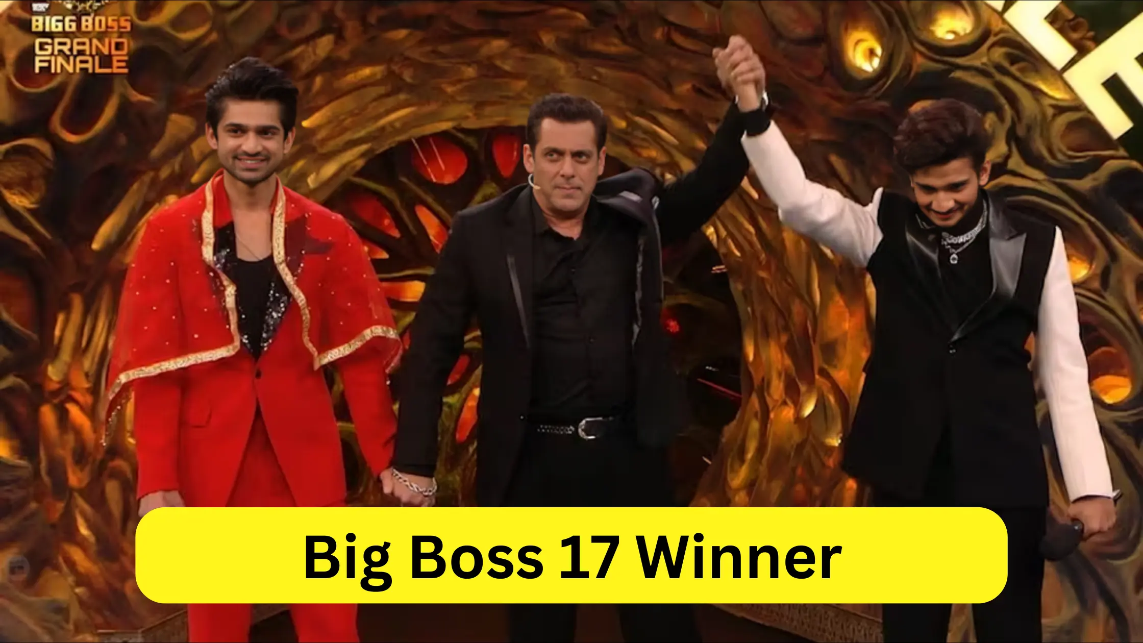 Big Boss 17 Winner